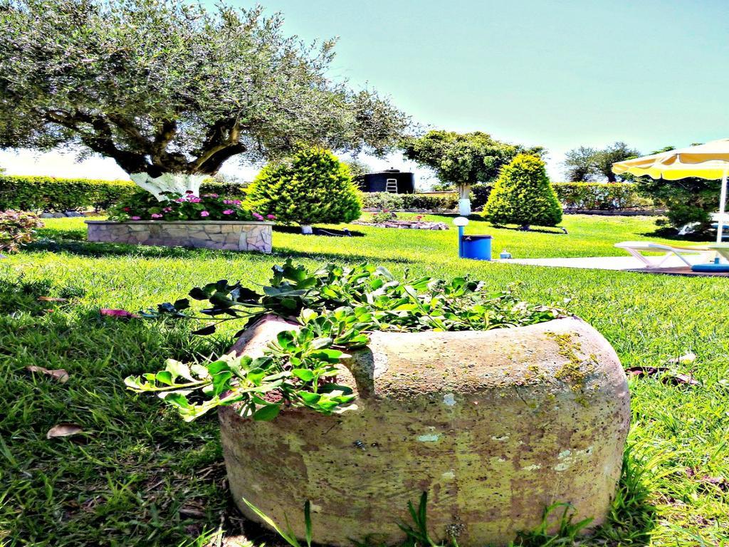 Sunlight Studios Theológos Extérieur photo